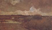 Vincent Van Gogh Marshy Landscape (nn04) oil painting picture wholesale